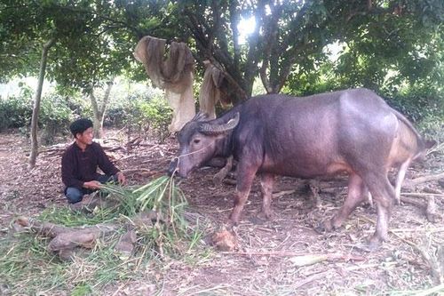Hiệu quả từ công tác dân vận