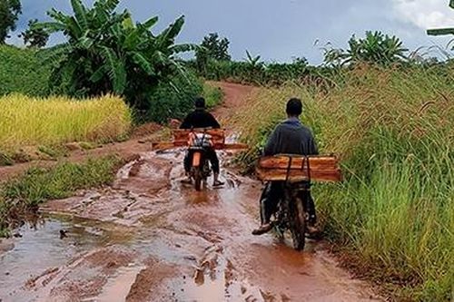 Rừng Mang Yang bị 'xẻ thịt' dù nằm gần 2 chốt bảo vệ rừng