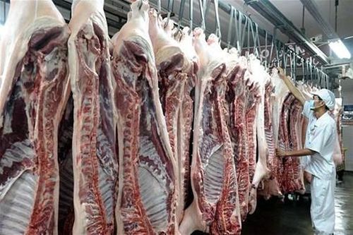 Doanh nghiệp nuôi lợn: Doanh thu hơn 10.000 tỷ đồng, cổ phiếu tăng sốc