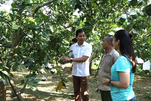 Sôi động diễn đàn khuyến nông tại huyện Chương Mỹ