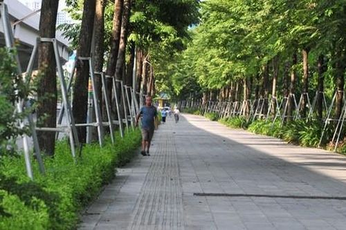 Hà Nội: Ngắm vỉa hè đẹp mắt phủ kín cây xanh trên đường Phạm Văn Đồng