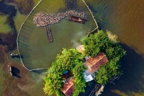 Chuyện tình ở 'ngôi nhà hình trái tim'
