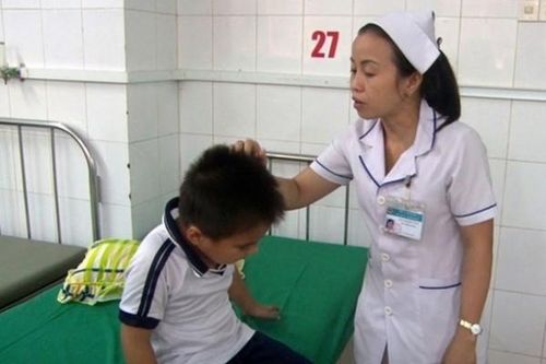 10 học sinh nhập viện cấp cứu do ong vò vẽ đốt