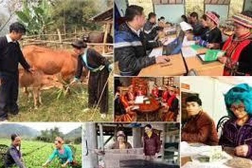 Tiếp tục hỗ trợ các xã, thôn hoàn thành mục tiêu Chương trình 135
