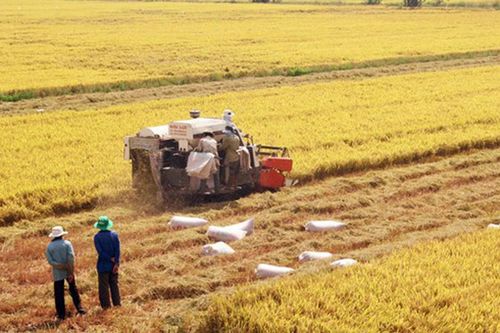 Năng suất lao động Việt Nam tăng tốc, nhưng vẫn thấp xa so với ASEAN-6