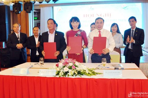 Liên kết phát triển du lịch Bình Định - Nghệ An - Hải Phòng