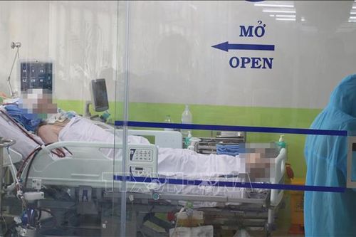 Thực hiện kỹ thuật ECMO giúp tăng tỷ lệ bệnh nhân nặng được cứu sống