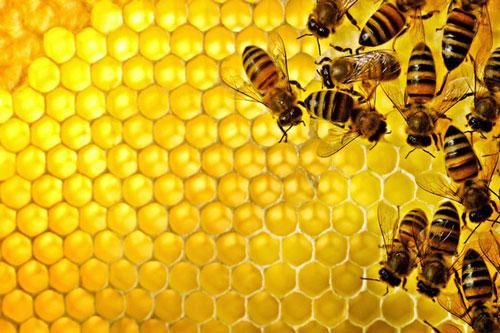 Những thực phẩm cấm kỵ đối với người huyết áp thấp