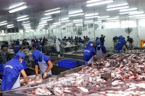 Giá nhiều loại thủy sản tăng trở lại