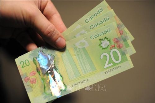 Giá dầu tăng – nhân tố giúp đồng nội tệ của Canada mạnh lên