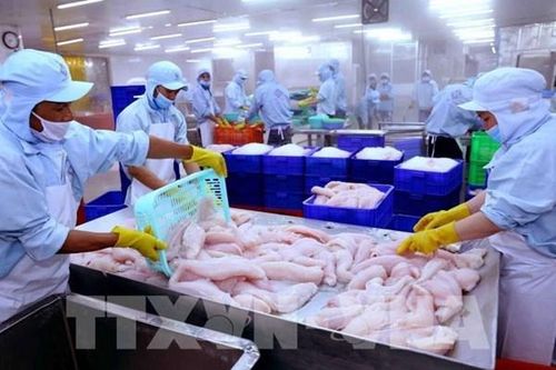 Xuất khẩu thủy sản đang có dấu hiệu phục hồi