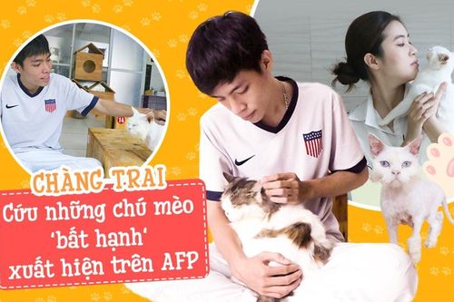 Chàng trai 24 tuổi bỏ công việc thu nhập ổn định cứu những chú mèo bất hạnh, xuất hiện trên hãng thông tấn AFP