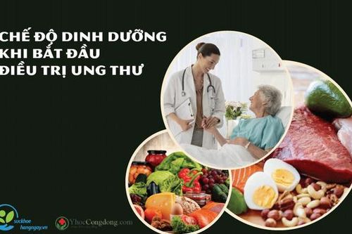 Chế độ dinh dưỡng khi bắt đầu điều trị ung thư