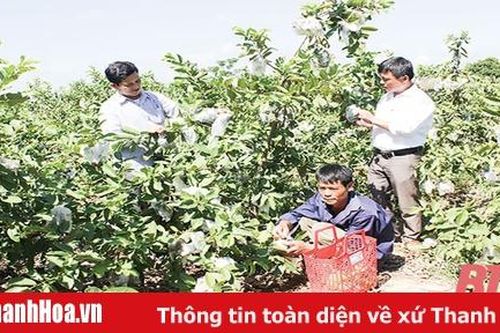 Huyện Thạch Thành nâng chất lượng sinh hoạt chi bộ sau sáp nhập