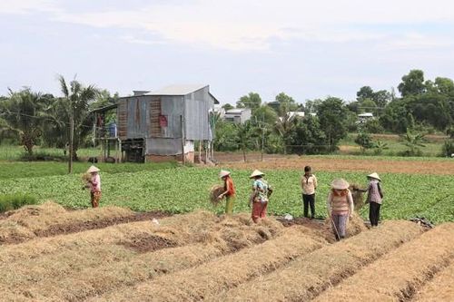 Nâng cao chất lượng đào tạo nghề, giải quyết việc làm lao động nông thôn