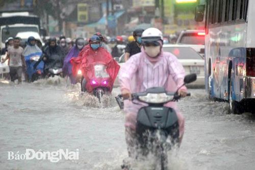Khẩn trương thực hiện 3 dự án chống ngập