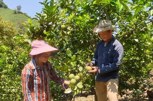 Bài 3. Lập bản mới trên vùng biên viễn