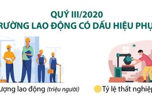 Infographic: Quý III/2020: Thị trường lao động có dấu hiệu phục hồi