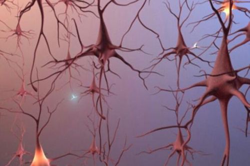 Thuốc trị rối loạn tim làm giảm cơn buồn ngủ trong bệnh Parkinson