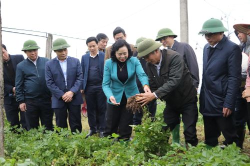 Hà Nội: Ưu tiên nguồn lực đầu tư xây dựng nông thôn mới, nâng cao đời sống người dân
