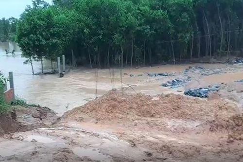 Quảng Nam: Vỡ đập Cát Bầu nhiều diện tích hoa màu chìm trong biển nước