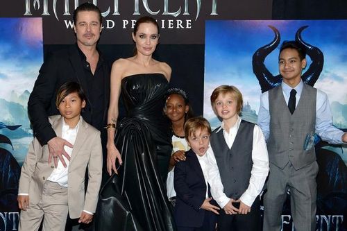 Brad Pitt mời 21 nhân chứng trong vụ kiện với Angelina Jolie