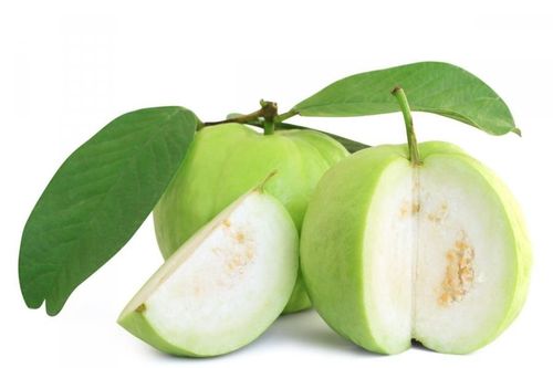 5 lợi ích cho sức khỏe không thể bỏ qua từ việc ăn ổi