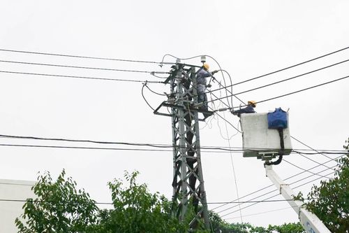 Dầm mưa... cứu điện