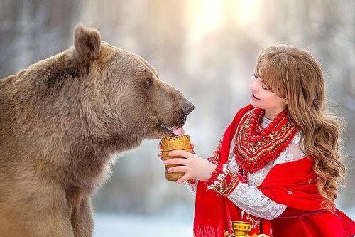 Gấu bị bỏ rơi trở thành mẫu ảnh chuyên nghiệp