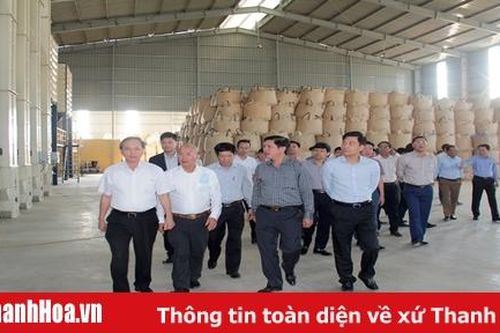 Kiểm tra tiến độ, tháo gỡ khó khăn các dự án do Công ty CP Mía đường Lam Sơn làm chủ đầu tư