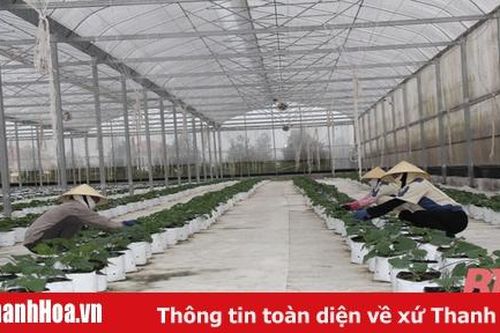 Đồng hành cùng doanh nghiệp phát triển