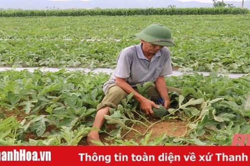Vai trò của kinh tế tập thể trong sản xuất nông nghiệp