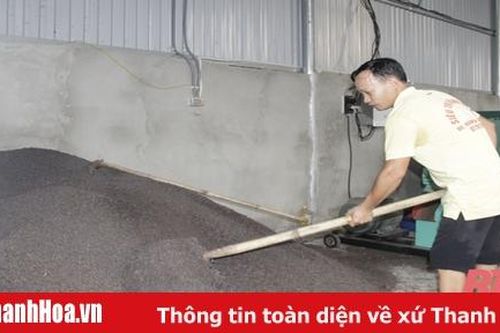 Khuyến khích sử dụng phân bón hữu cơ trong sản xuất nông nghiệp