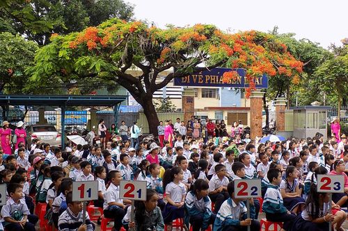 Gia Lai: Phê duyệt Dự án 'Giảm tốc độ - Trường học an toàn'