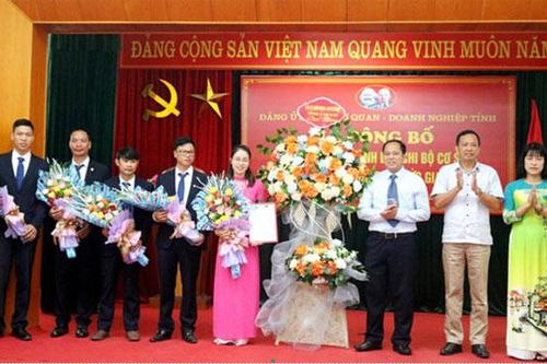 Thành lập Chi bộ Công ty TNHH MTV hóa chất Đức Giang Lào Cai