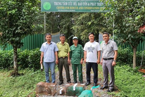 Bàn giao động vật quý hiếm thu giữ trên xe khách cho Vườn Quốc gia Cát Tiên