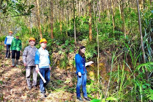 Chế biến nông, lâm sản gắn với phát triển vùng nguyên liệu