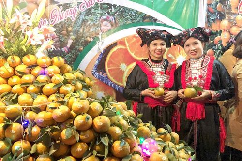 Cam sành Hàm Yên được chứng nhận chỉ dẫn địa lý