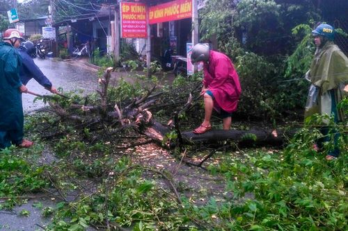 Tôn bay trúng đầu một người dân trong cơn bão số 6