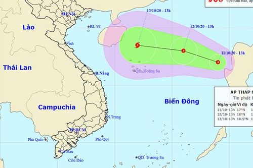 Chủ động ứng phó với áp thấp nhiệt đới và tình hình mưa lũ