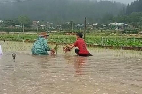 Bão số 6 khiến toàn huyện đảo Lý Sơn mất điện