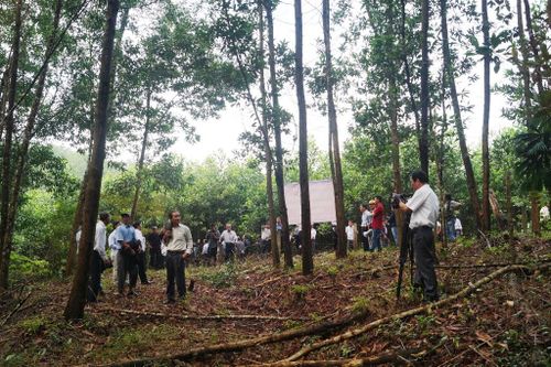 Tạo nguồn nguyên liệu gỗ chất lượng - Bài cuối: Tính toán đầu tư phù hợp