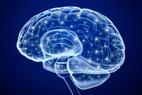 Phát hiện mối liên hệ giữa trí thông minh mềm và kích cỡ não