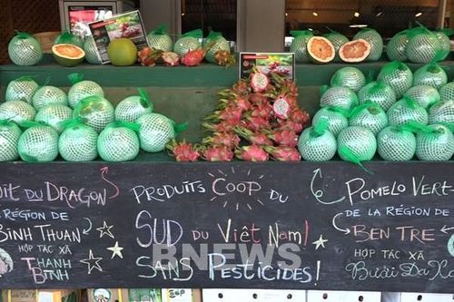 Thanh long, Bưởi da xanh bày bán tại Canada