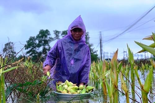 Người dân Quảng Ngãi không được chủ quan với tình hình mưa lũ hiện nay