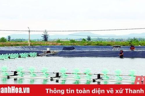 Toàn tỉnh khai thác và nuôi trồng thủy sản đạt 145.000 tấn