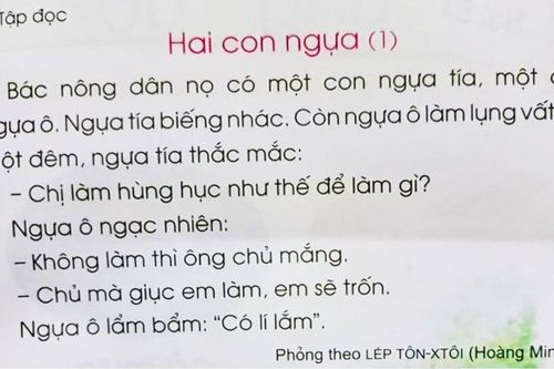 Động thái quá chậm của Bộ GD&ĐT về sách Tiếng Việt 1