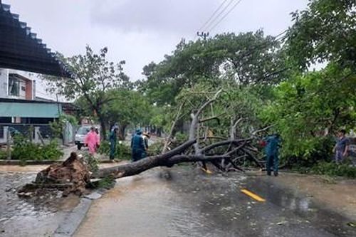 Đà Nẵng di dời hơn 900 hộ dân ở vùng ngập lụt đến nơi an toàn