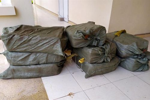 Thu giữ 100kg nầm lợn và 80kg xương ngựa nhập lậu