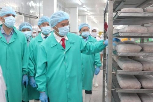 Việt Nam có tiến bộ rõ rệt trong việc chống khai thác thủy sản bất hợp pháp